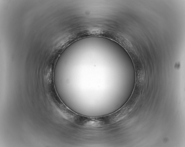 X0000094070364200711021515