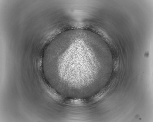 X0000094070365200711021515
