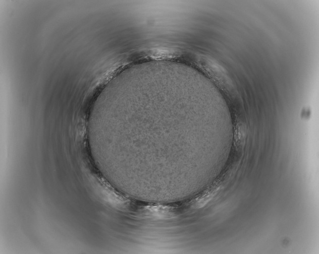 X0000094070367200711021515
