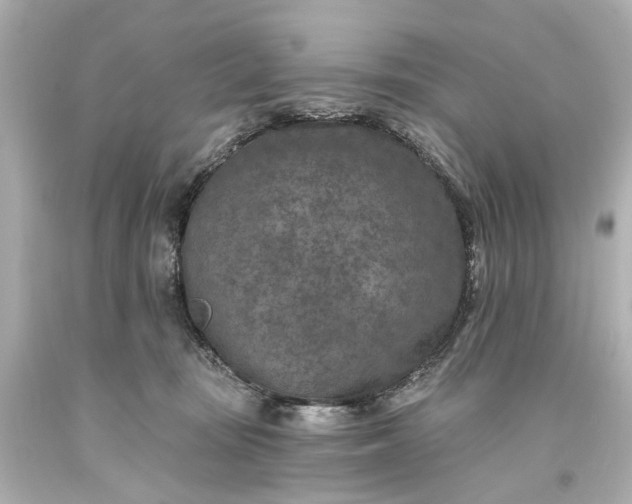 X0000094070371200711021515