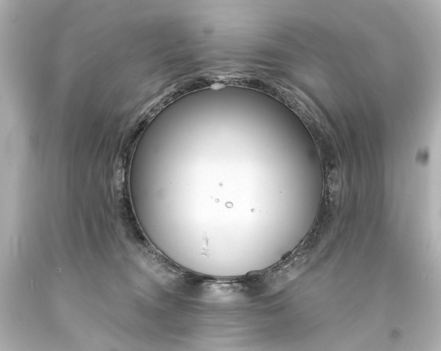 X0000094070372200711021515