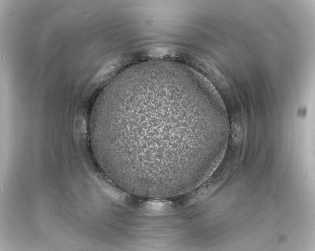 X0000094070375200711021515