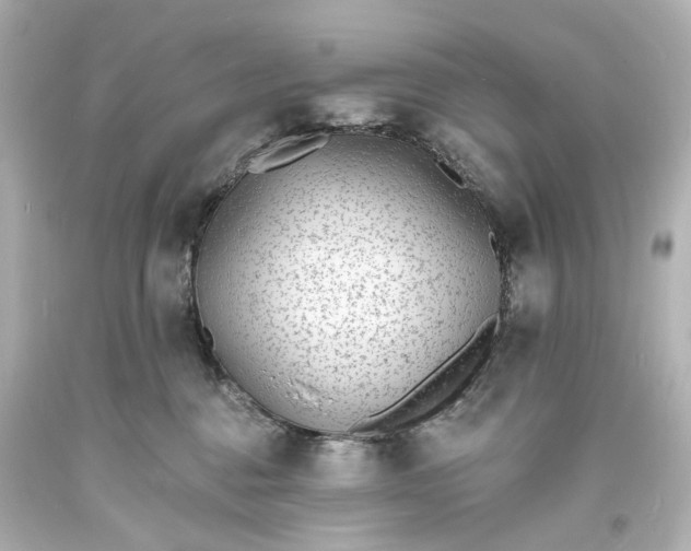 X0000094070376200711021515