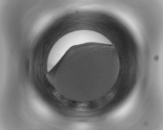 X0000094070382200711021515