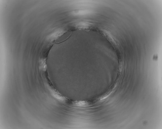 X0000094070383200711021516