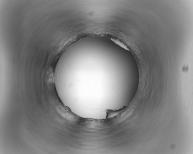 X0000094070384200711021516