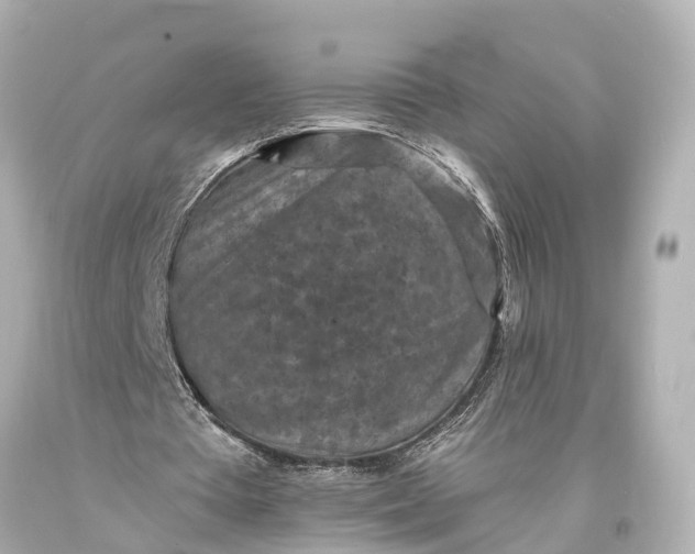 X0000094070385200711021515
