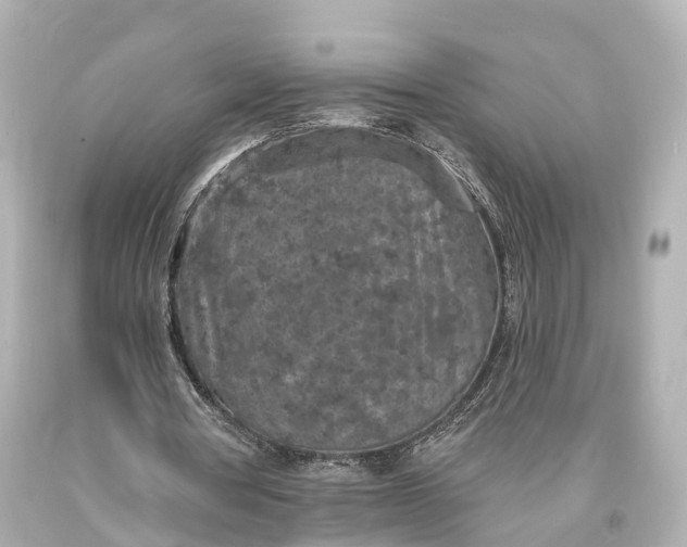 X0000094070386200711021515