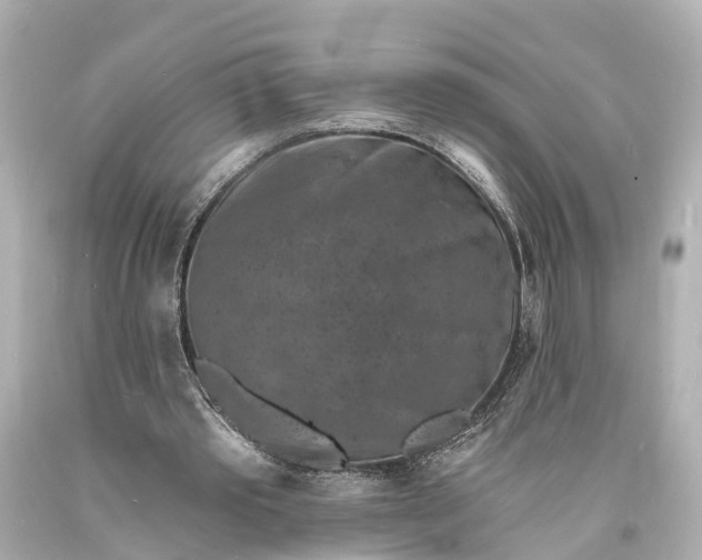 X0000094070389200711021515