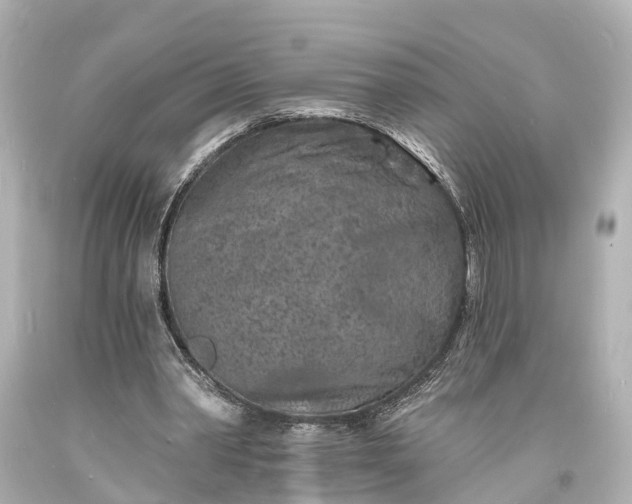 X0000094070390200711021515