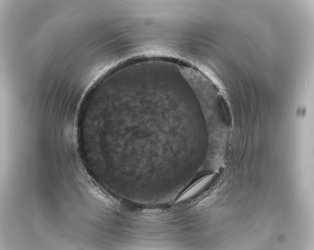 X0000094070391200711021515