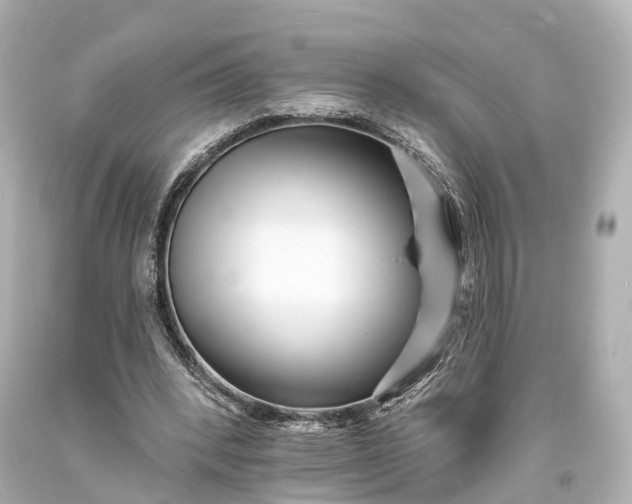 X0000094070392200711021515
