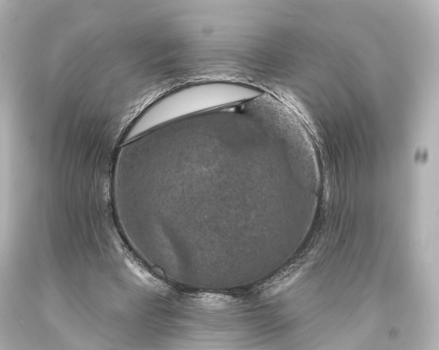 X0000094070393200711021515