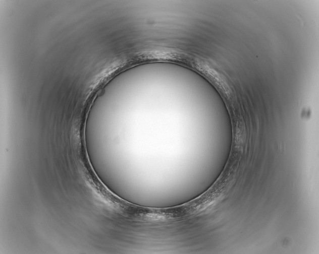 X0000094070394200711021515