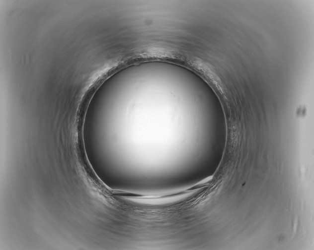 X0000094070395200711021515