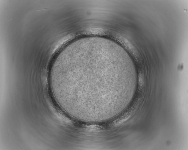 X0000094070396200711021515
