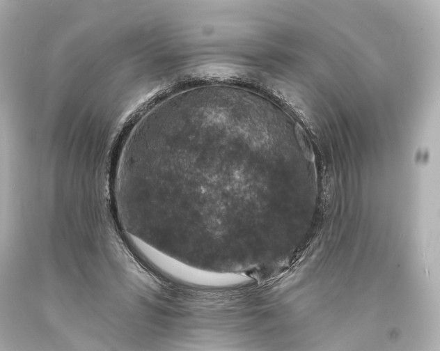 X0000094070399200711021514