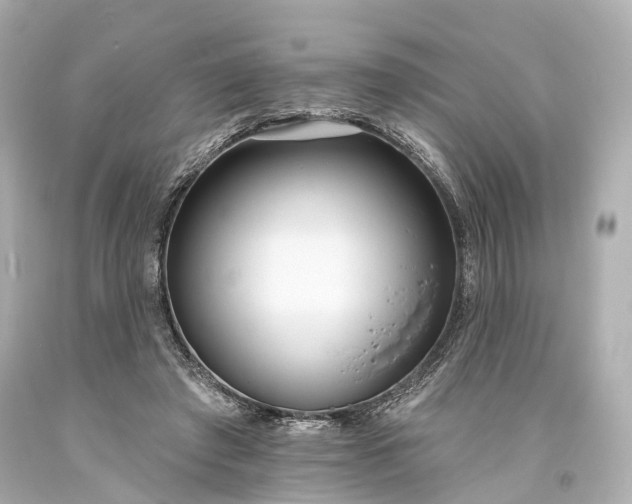 X0000094070401200711021514