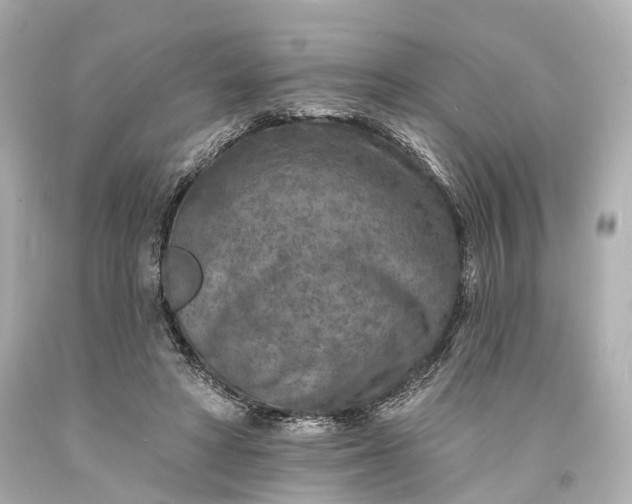 X0000094070402200711021514