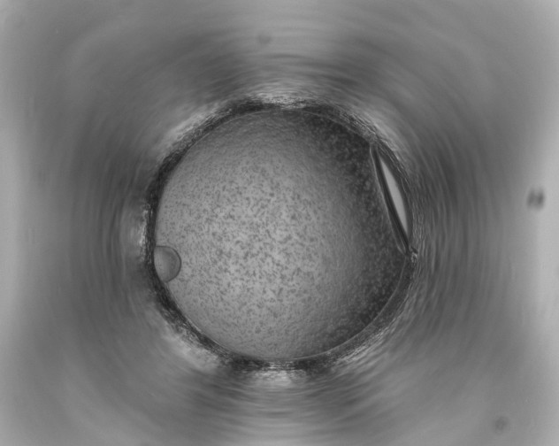 X0000094070404200711021514