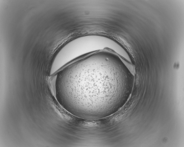 X0000094070405200711021514