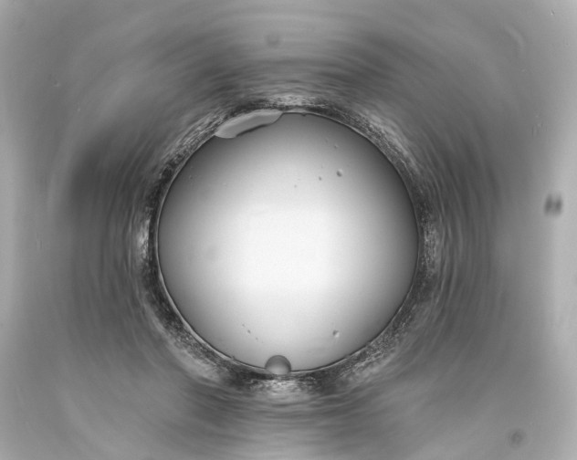 X0000094070406200711021514