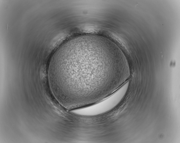 X0000094070407200711021514