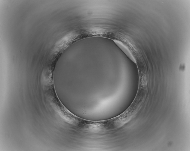 X0000094070411200711021514