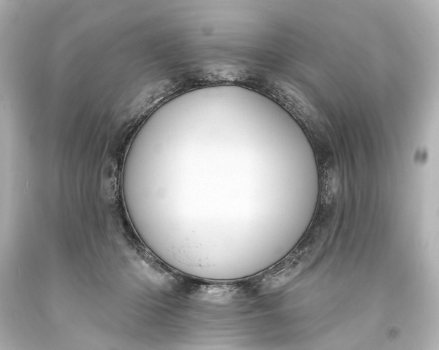 X0000094070414200711021514