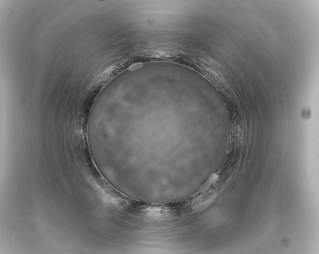 X0000094070415200711021514