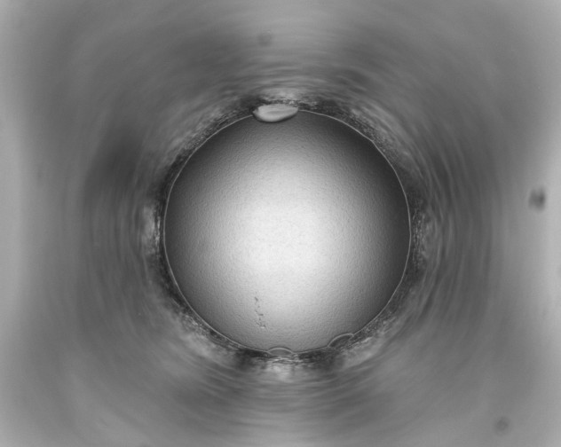 X0000094070420200711021514
