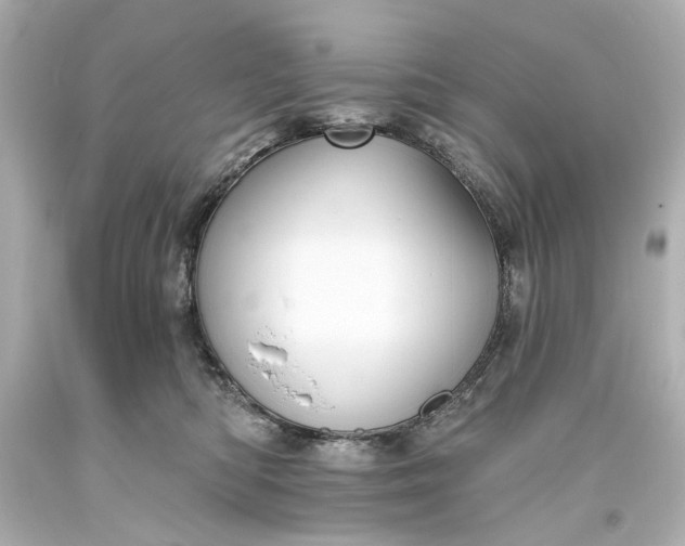 X0000094070422200711021514
