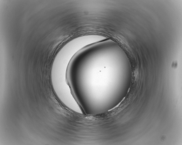 X0000094070423200711021514