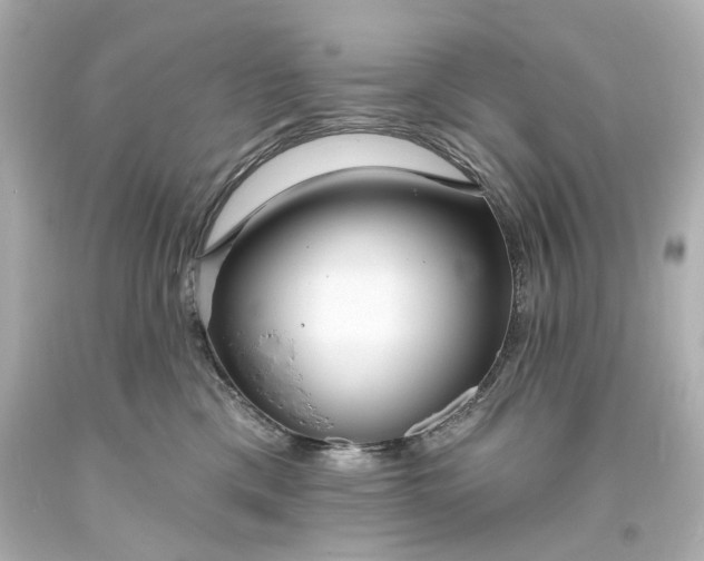 X0000094070425200711021514