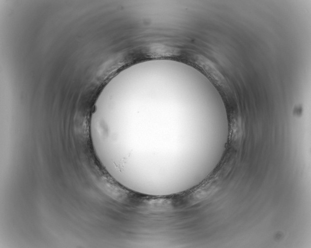 X0000094070426200711021514