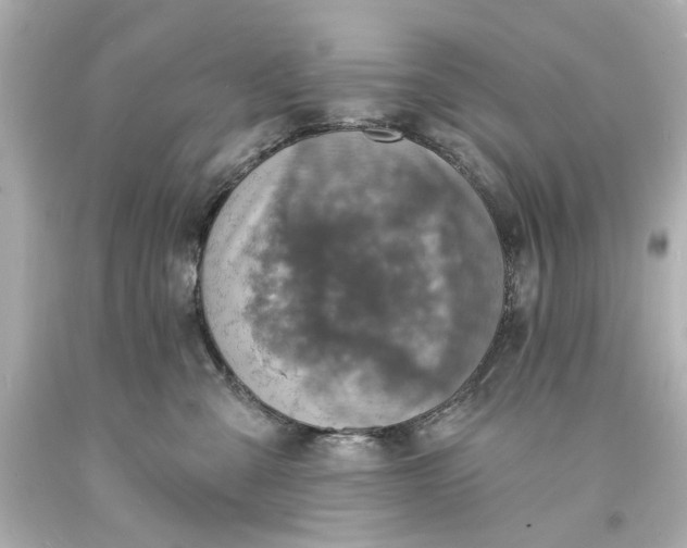 X0000094070427200711021514