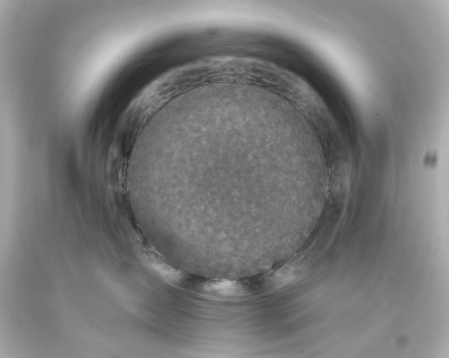 X0000094070431200711021514