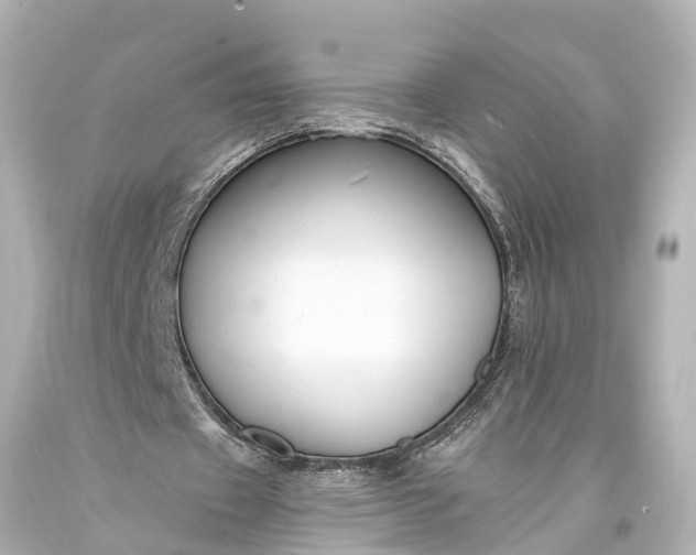 X0000094070433200711021513