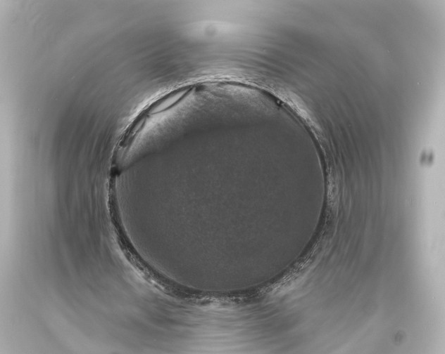 X0000094070434200711021513