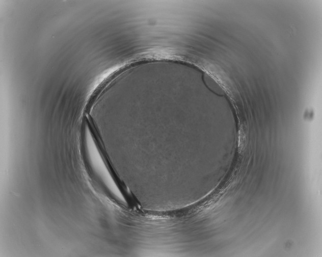 X0000094070438200711021513