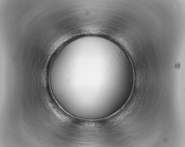 X0000094070439200711021513