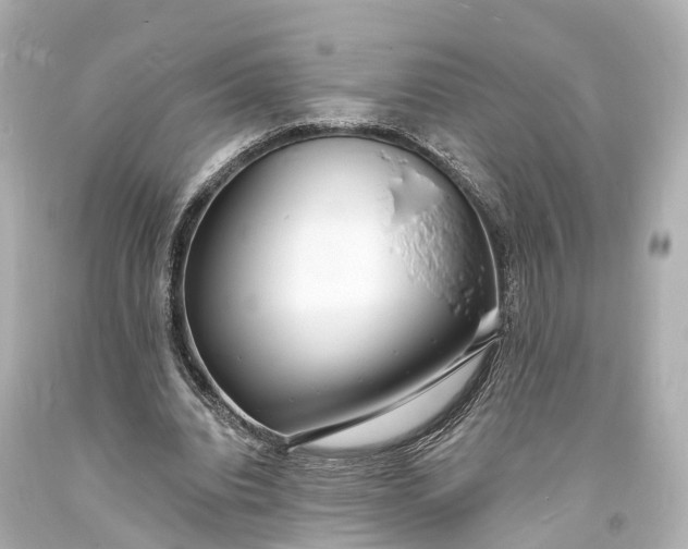 X0000094070440200711021513