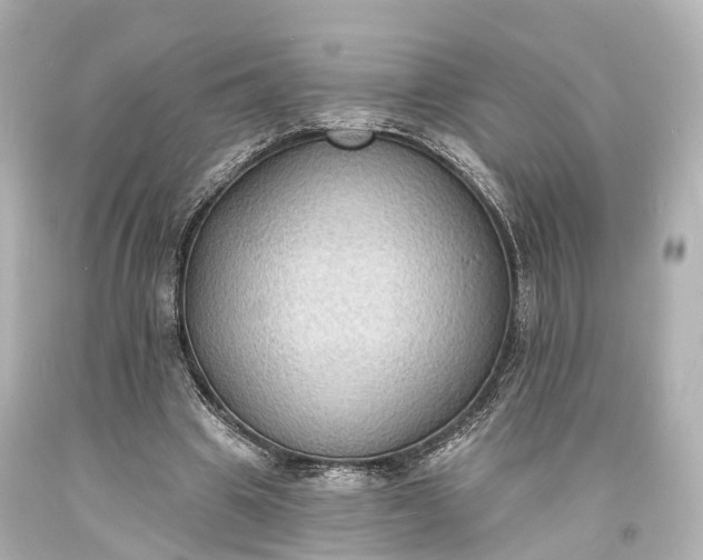 X0000094070441200711021513
