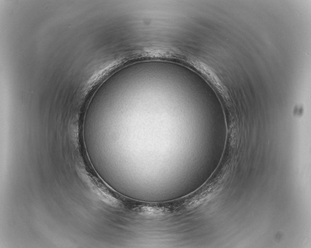 X0000094070442200711021513
