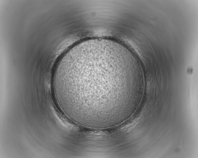 X0000094070443200711021513