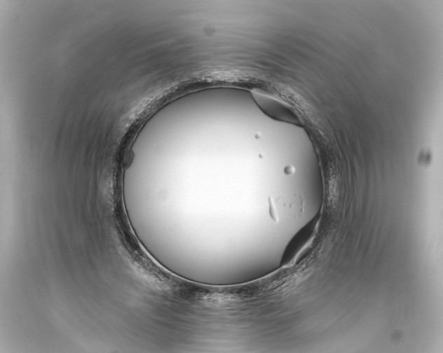 X0000094070444200711021514