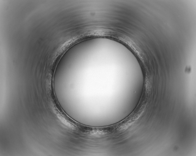 X0000094070445200711021514
