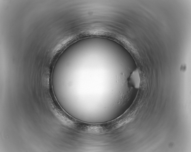 X0000094070446200711021514