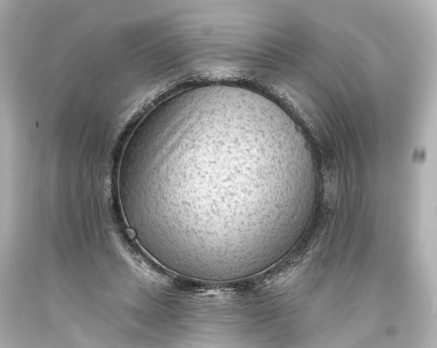 X0000094070447200711021514