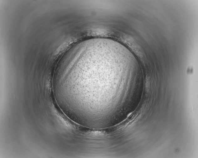 X0000094070449200711021514